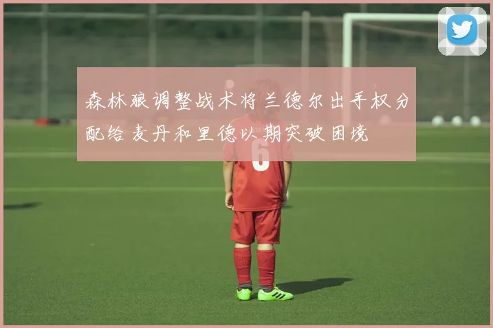 森林狼调整战术将兰德尔出手权分配给麦丹和里德以期突破困境