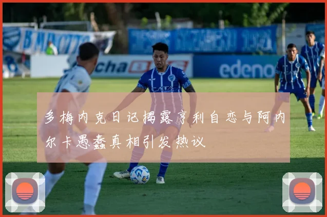多梅内克日记揭露亨利自恋与阿内尔卡愚蠢真相引发热议